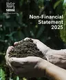 Non Financial Statement 2025